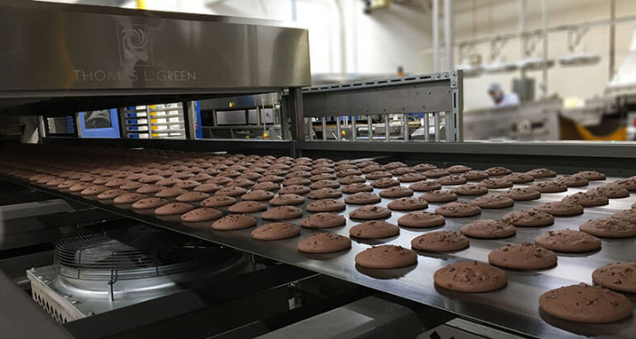 ruby food warmer thermal element